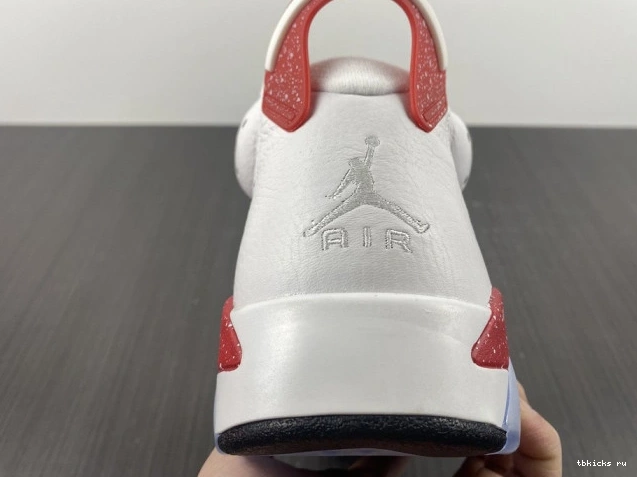 Reps TB CT8529-162 Hare Jordan 6 Retro 0629
